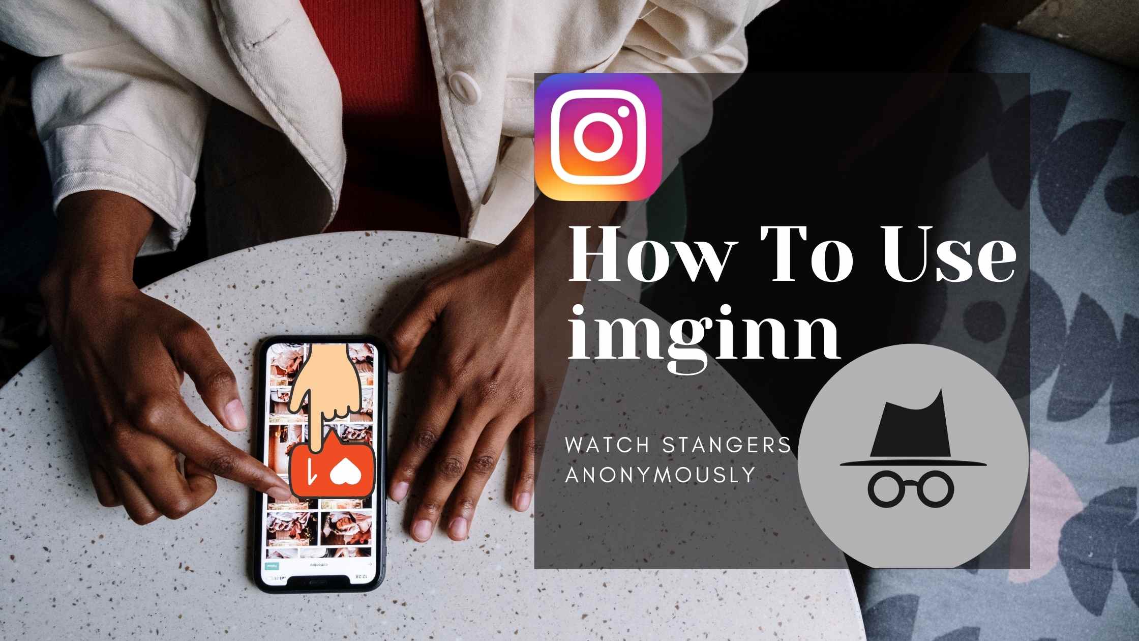 imginn review