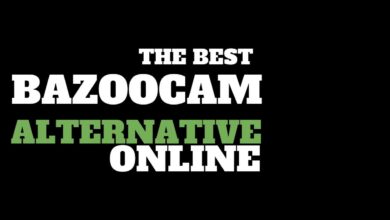 Bazoocam Alternatives