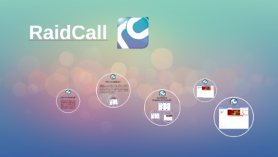 RaidCall