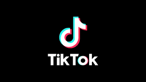 TikTok Downloader