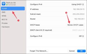 Click Renew DHCP Lease 