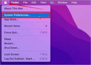 Now click on System Preferences.