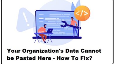 Ways To Fix “Your Organization’s Data Cannot Be Pasted Here” Error In Windows