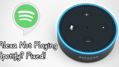 Ways to fix Spotify Not Working With Alexa