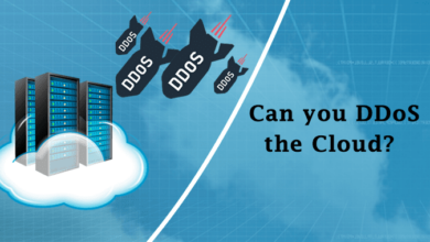 Cloud Based DDoS Protection