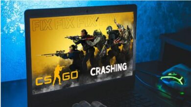 fix csgo crashing randomly