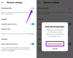 Clear In-App Browser Data 