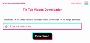 TikTok Video Downloader