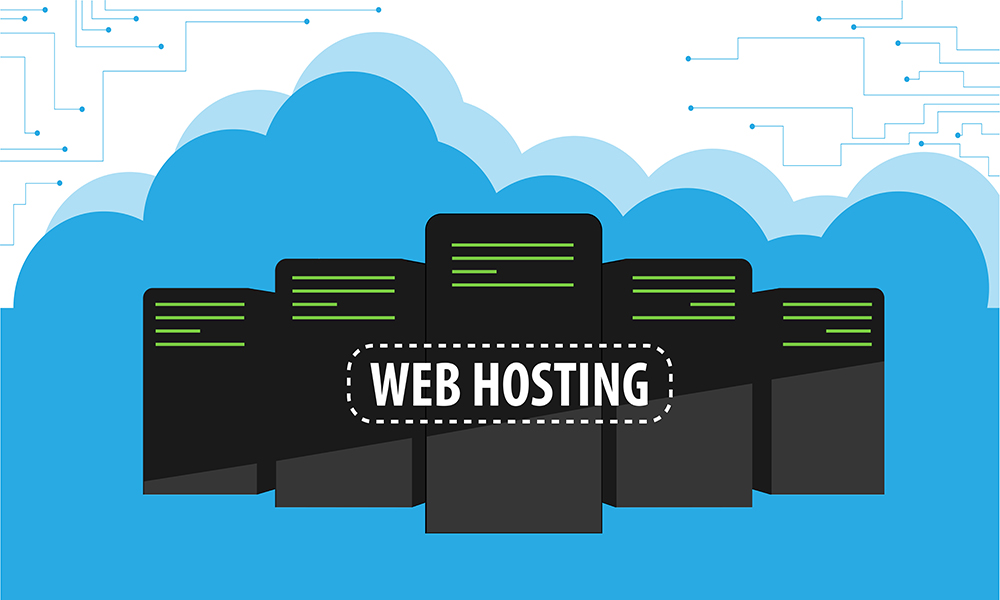 Website Hosting