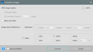 Depending on the image format you want to convert to, you can set some properties in the pop up that appears. Select your image format settings