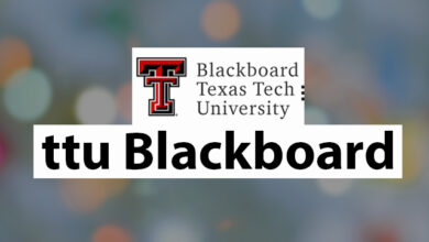 ttu blackboard